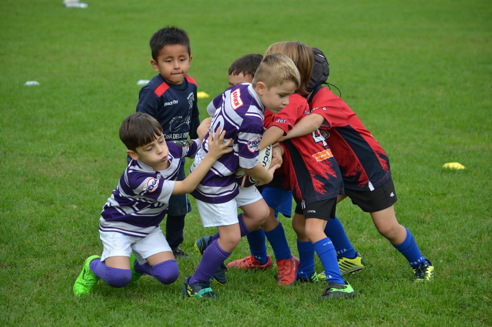 Immagine WhatsApp 2025 11 02 ore 14.47.43 3247daab