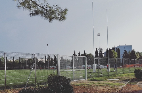 Campo